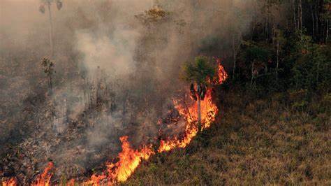 PANTANAL EM CHAMAS E SC COM ENCHENTES E ENXURRADA