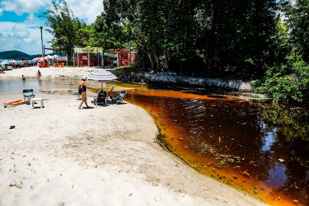 FLORIANÓPOLIS (SC) ENFRENTANDO  DESLEIXOS DE GOVERNANTES