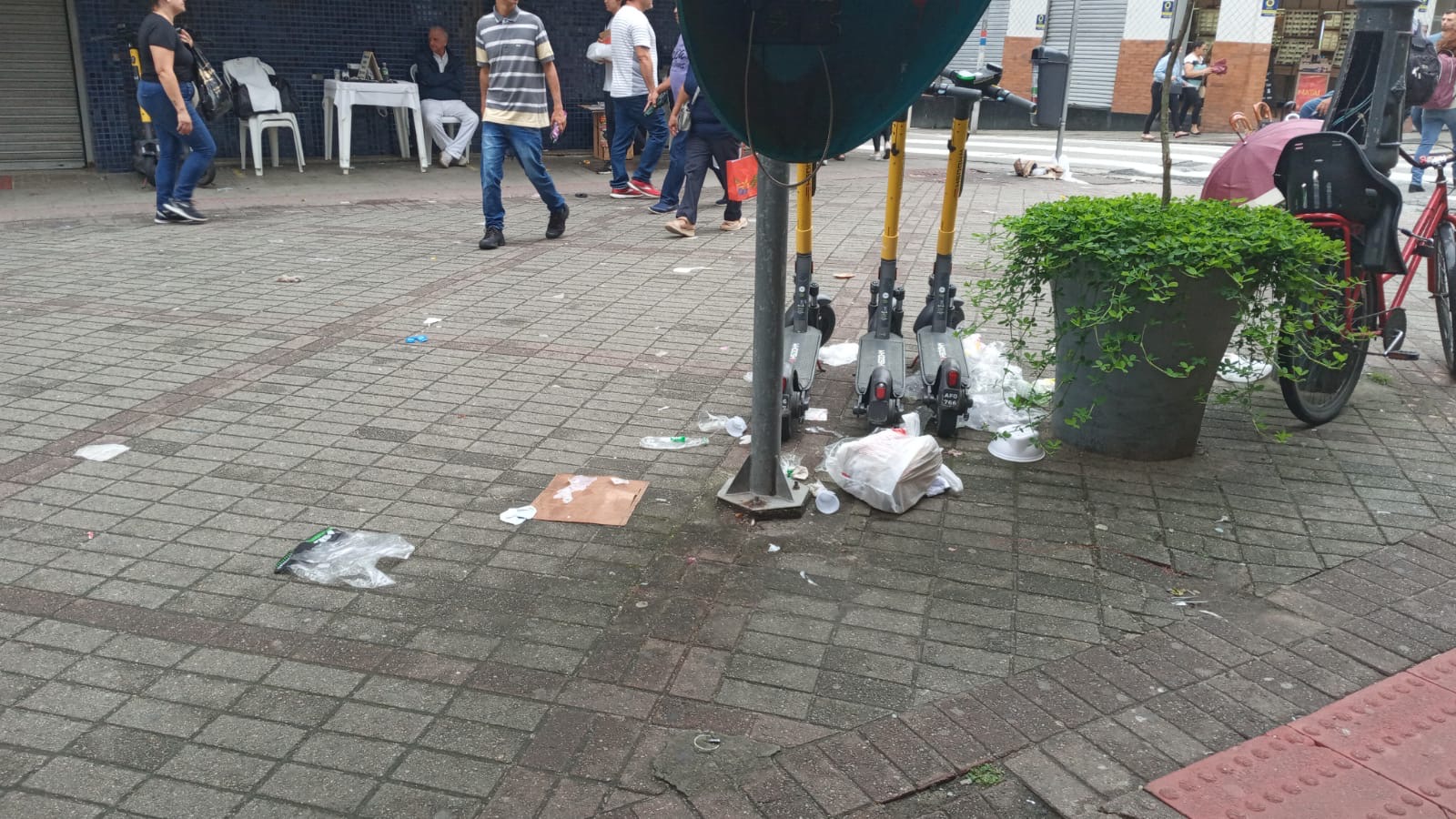 LIXO, RATOS, BARATAS E DENGUE  NA GRANDE FLORIANÓPOLIS (SC)