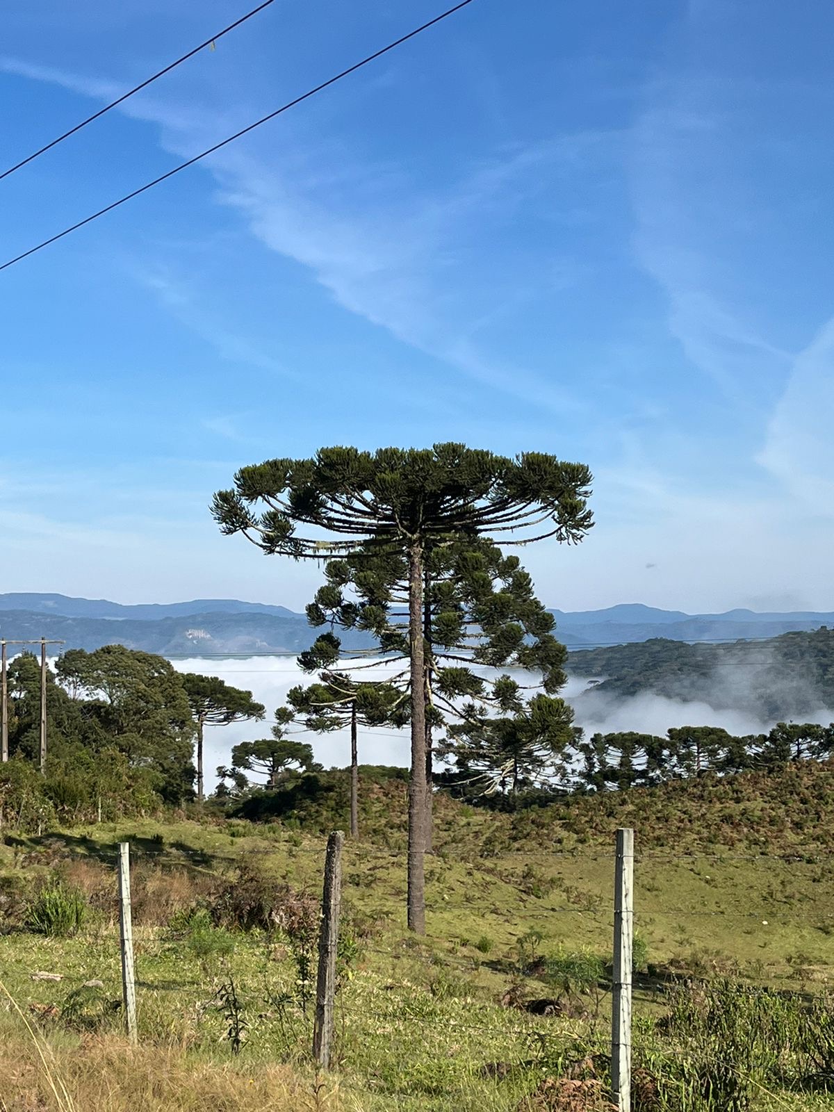 SERRA CATARINENSE ENCANTA TURISTAS