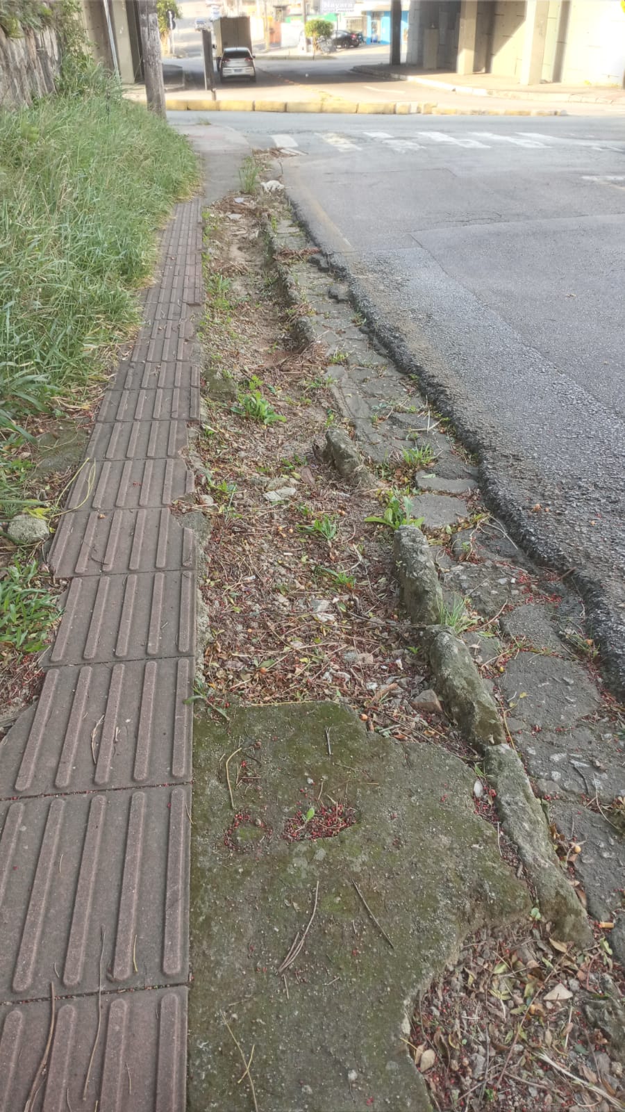 SITUAÇÃO CRÍTICA DE CALÇADA EM RUA DO BAIRRO BELA VISTA  SÃO JOSÉ (SC)