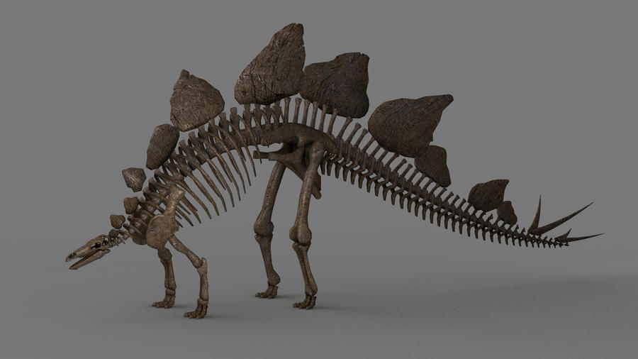 FÓSSIL DE DINOSSAURO EM LEILÃO DA SHOTEBY´S  TORNA-SE O  MAIS VALIOSO DO MUNDO