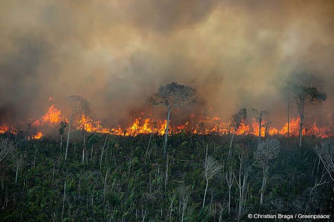 FUMAÇAS DE QUEIMADAS INTENSAS NA AMAZÔNIA  CHEGAM AO SUL DO BRASIL