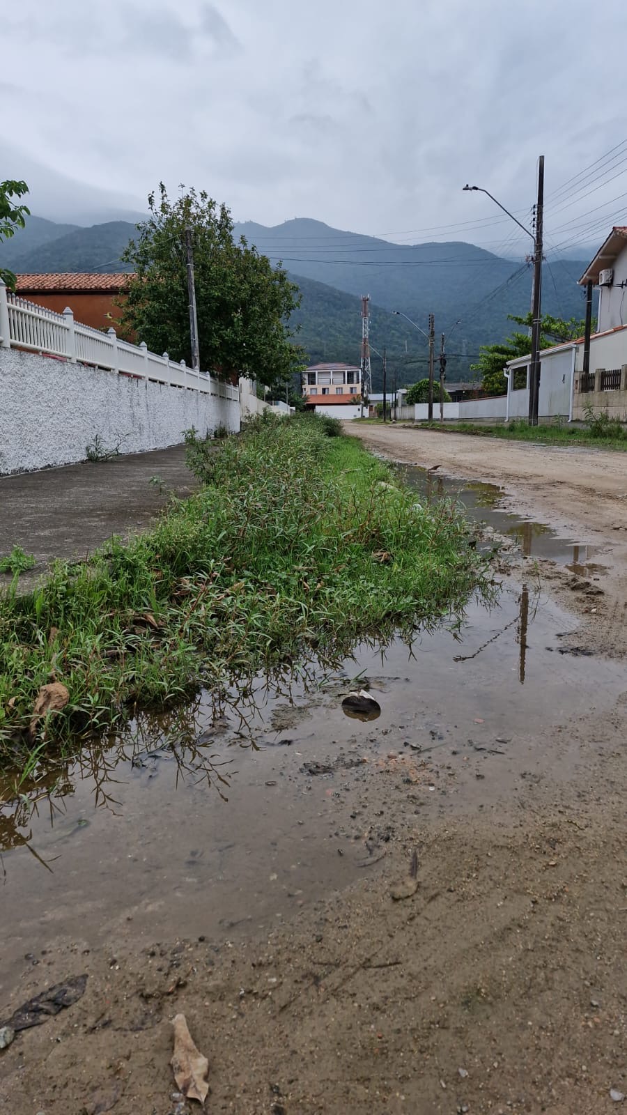 VERÃO CHEGANDO E RISCOS À DENGUE AUMENTAM EM SC