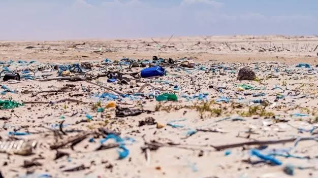 FALTA DE RECOLHIMENTO DO LIXO EM FLORIANÓPOLIS (SC), GERA REVOLTA NA REGIÃO NORTE DA ILHA