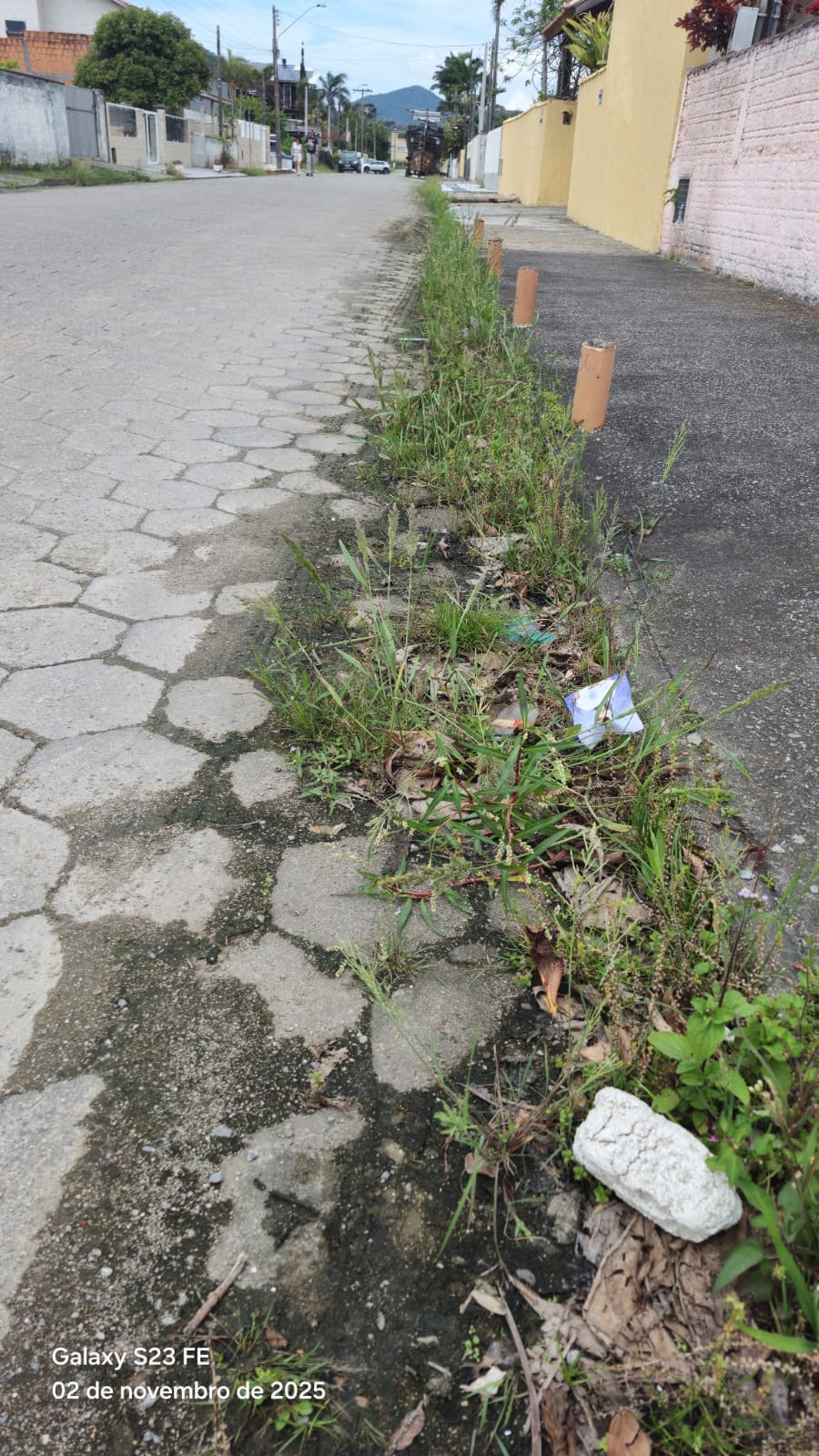 PALHOÇA (SC) COM RUAS SOB O MATAGAL E ESBURACADAS.