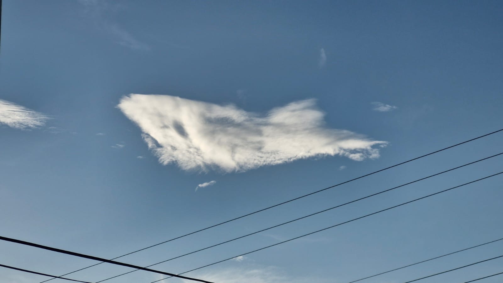 TAINHA LITERALMENTE CHEGANDO PELOS ARES NA ILHA DA MAGIA.