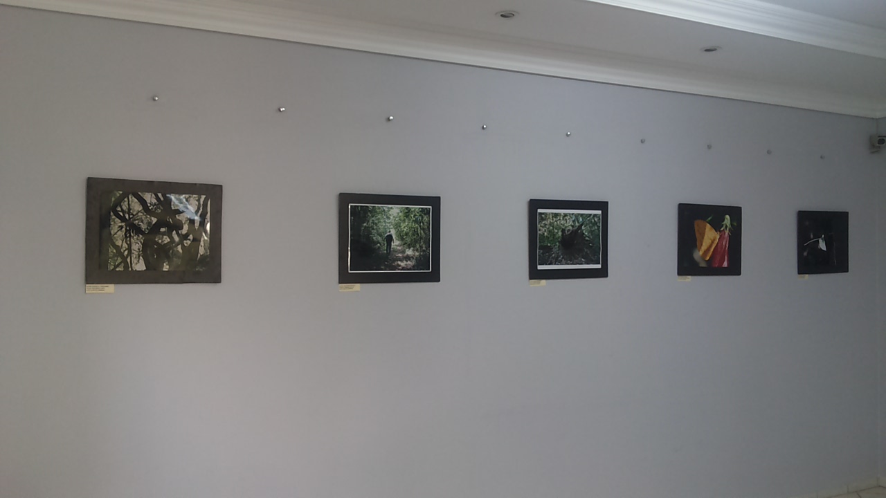 Mata dos Godoy em Mostra Fotográfica em Londrina (PR)
