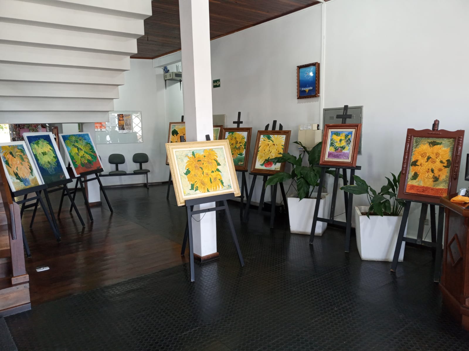 ITAIÓPOLIS (SC), RECEBE A SÉRIE OS GIRASSÓIS DE JUAN GODOY