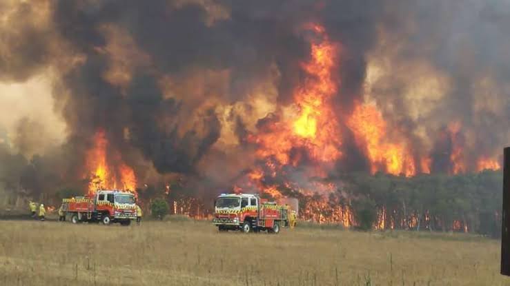 Austrália vai investir cerca de US$ 2 bilhões para recuperar áreas devastadas por incêndios