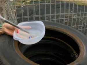 DENGUE LEVA À SUPERLOTAÇÃO EM HOSPITAIS DE SANTA CATARINA