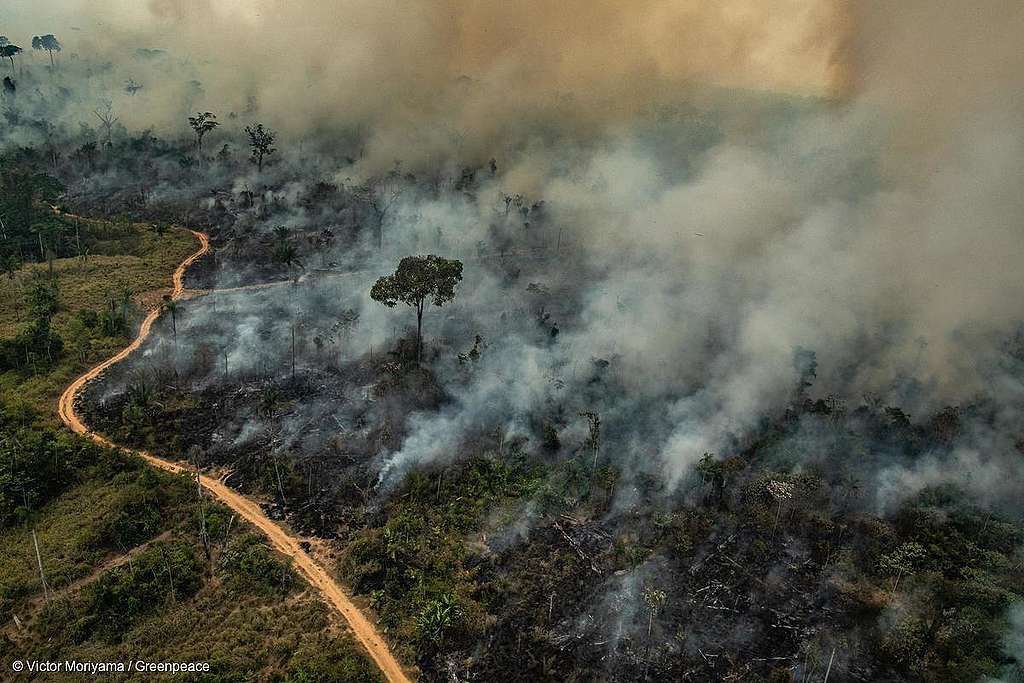 Os riscos das queimadas em campos e matas nativas nesta época do ano em todo o Brasil