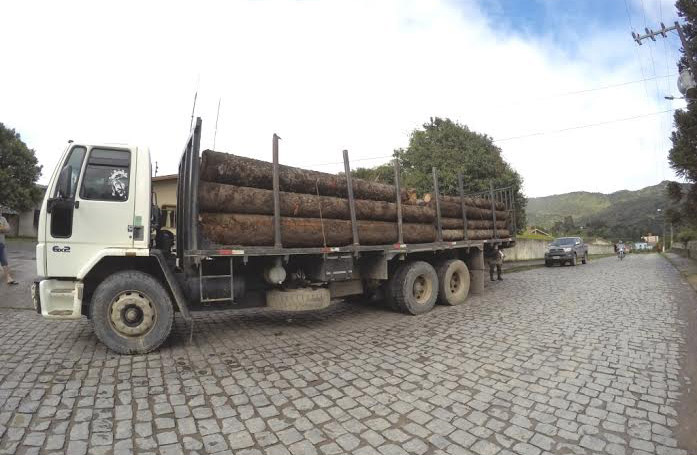 Caminhão carregado de madeira nativa é apreendido em SC