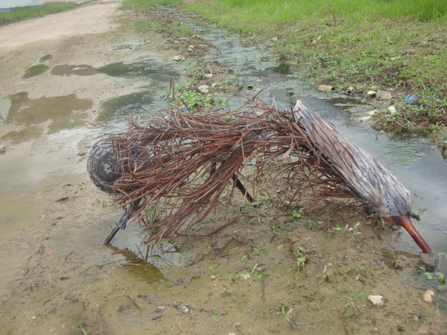 Juan Godoy fez escultura do mosquito Aedes Aegypti