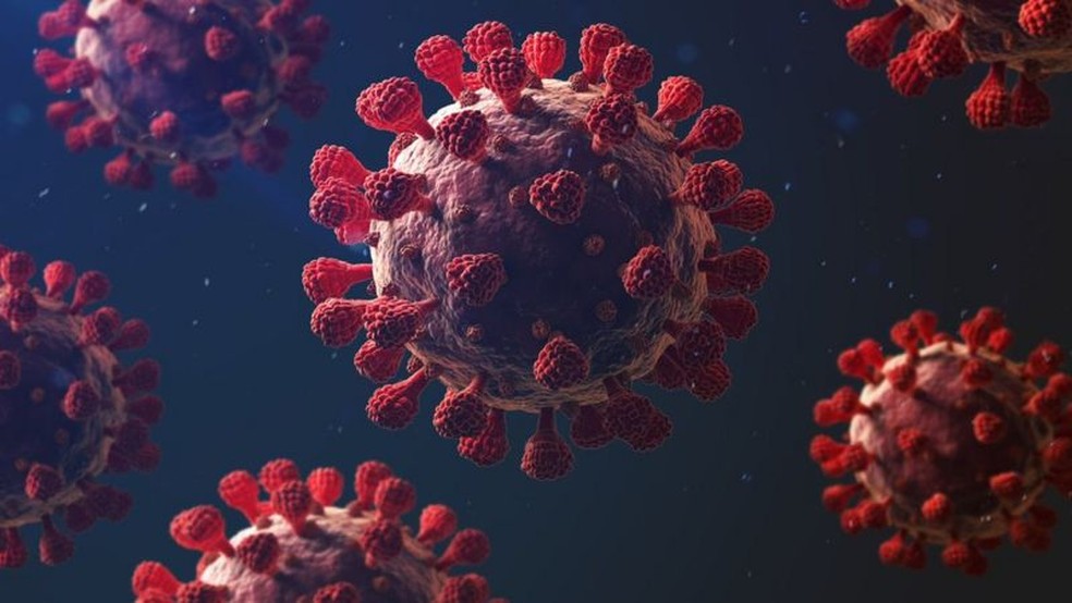 Brasil; Índia; China e África  são laboratórios naturais para origem de novos vírus mais letais do que SARS CoV-2 (Covid-19). Veja por quê